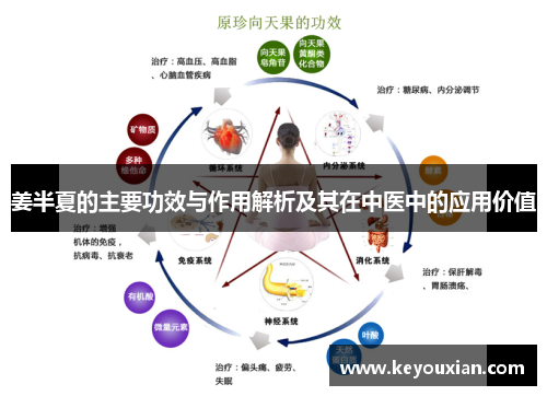 姜半夏的主要功效与作用解析及其在中医中的应用价值