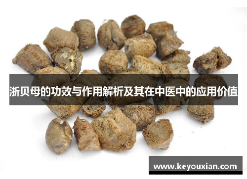 浙贝母的功效与作用解析及其在中医中的应用价值